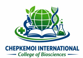 irenechepkemoi.gnomio.com